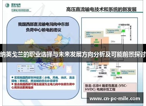 纳英戈兰的职业选择与未来发展方向分析及可能前景探讨