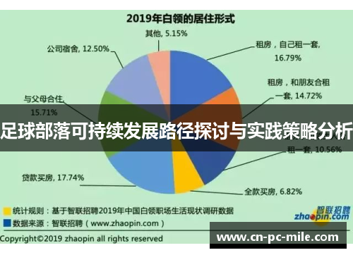 足球部落可持续发展路径探讨与实践策略分析