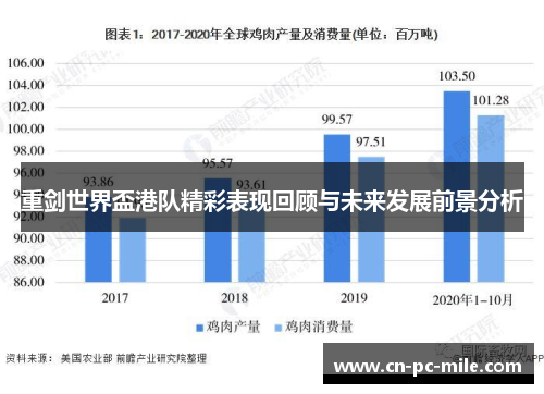 重剑世界盃港队精彩表现回顾与未来发展前景分析