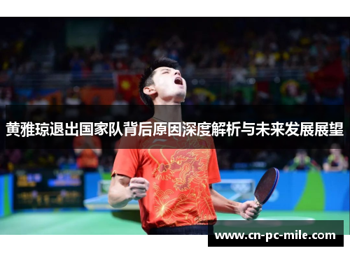 黄雅琼退出国家队背后原因深度解析与未来发展展望