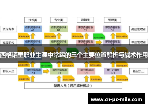 西格诺里职业生涯中常踢的三个主要位置解析与战术作用 西格诺里职业生涯中常踢的三个主要位置解析与战术作用