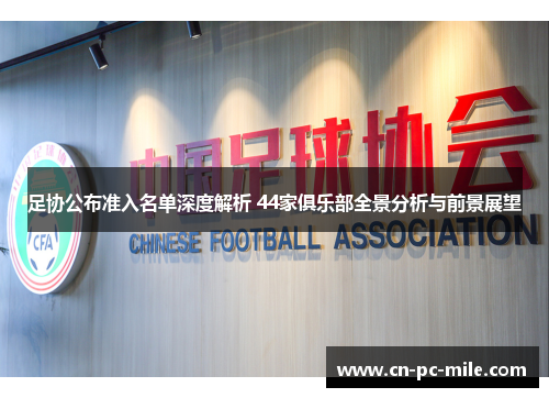 足协公布准入名单深度解析 44家俱乐部全景分析与前景展望