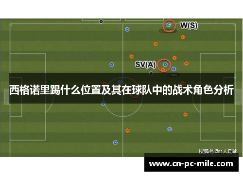 西格诺里踢什么位置及其在球队中的战术角色分析 西格诺里踢什么位置及其在球队中的战术角色分析